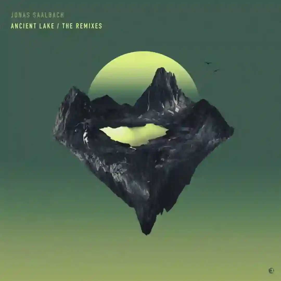 Driven By Madness feat. Mz Sunday Luv (Dirty Doering & Sascha Cawa Remix) cover