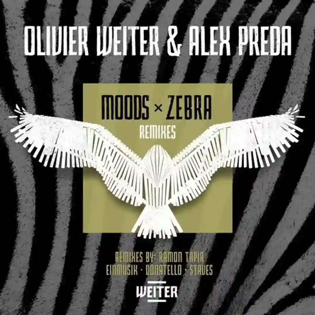 Zebra (Einmusik Remix) cover