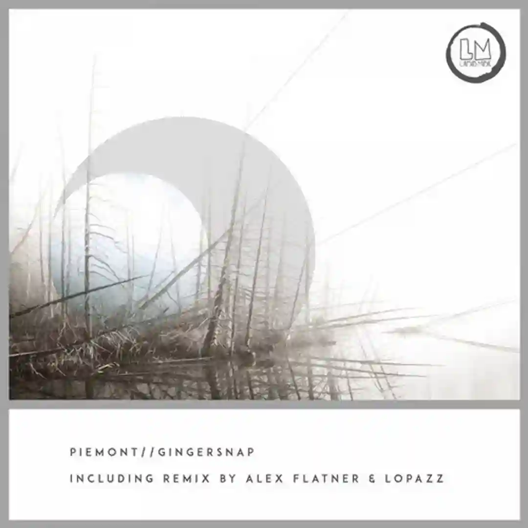 Gingersnap (Alex Flatner & Lopazz Remix) cover