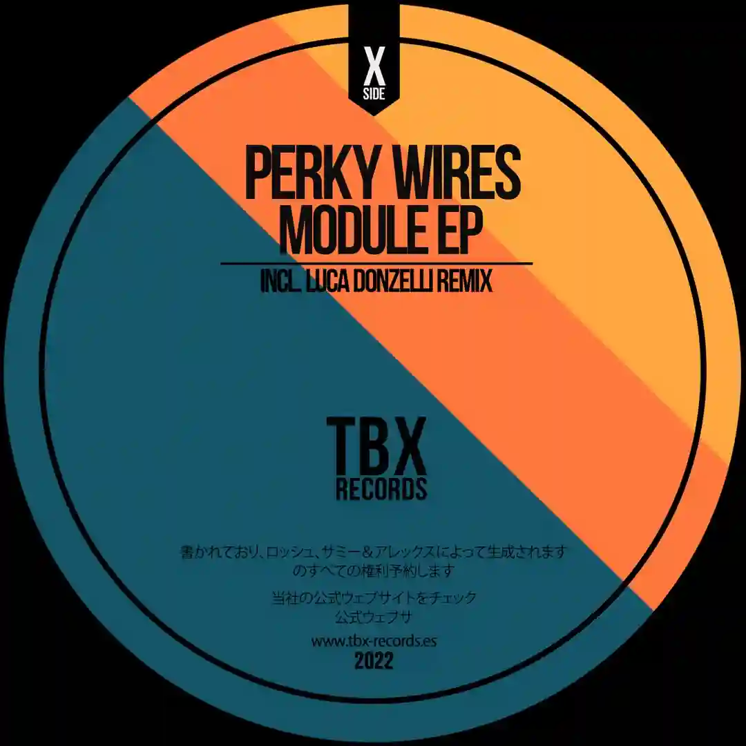 Module (Luca Donzelli Remix) cover