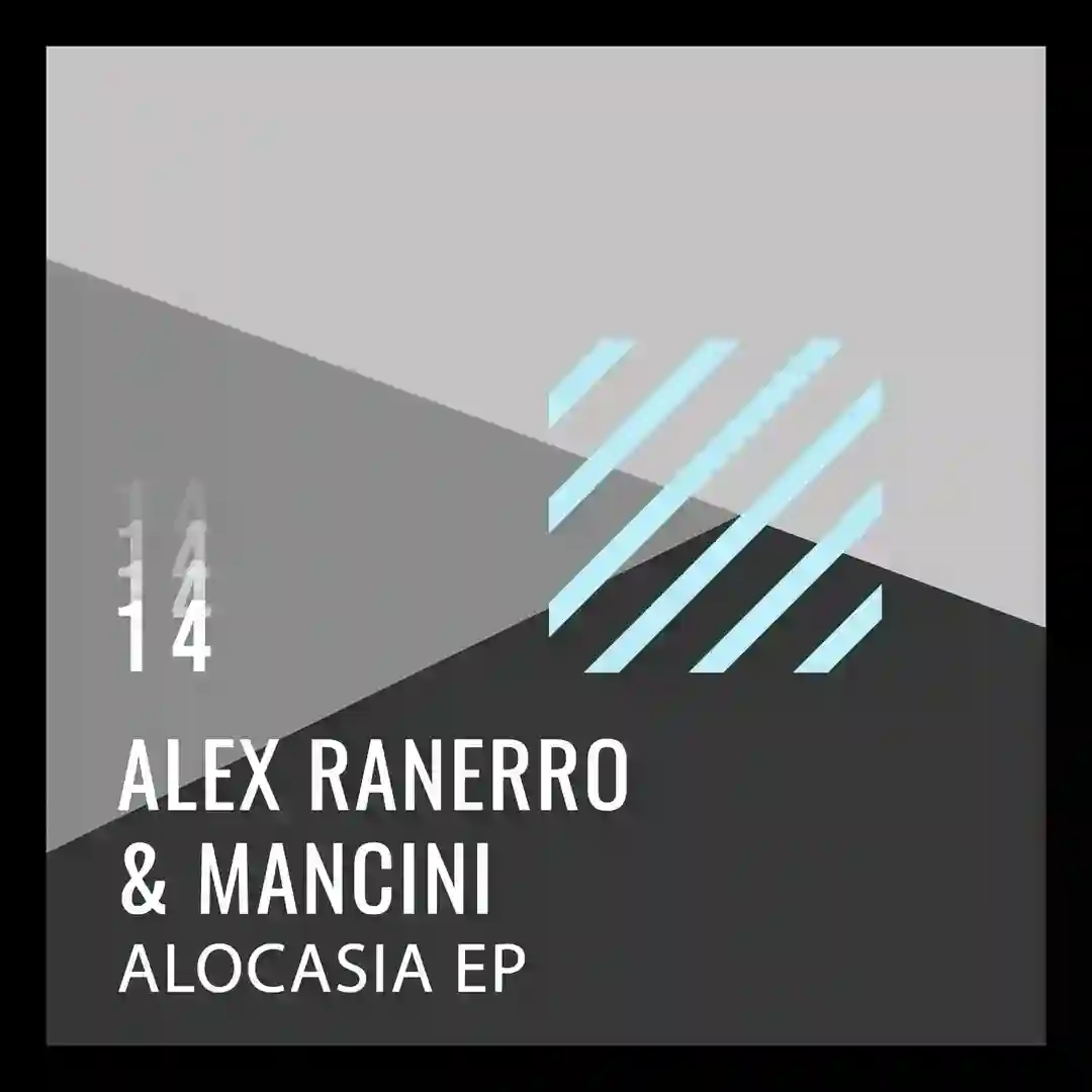 Alocasia cover