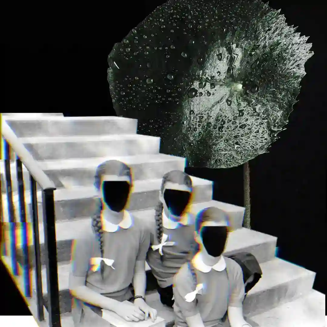 Lost Nuts (Original Mix) cover