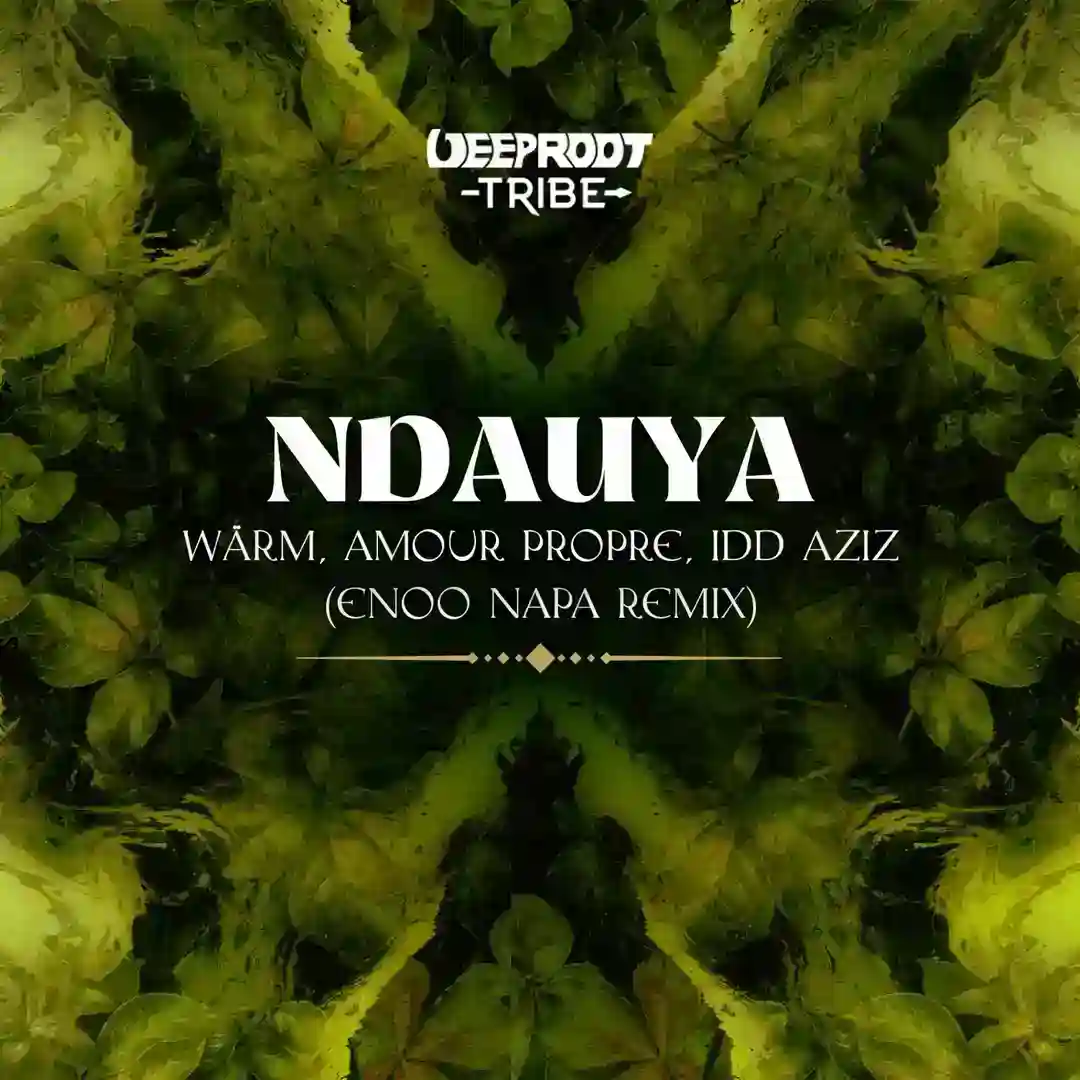 Ndauya - Enoo Napa Remix feat. Idd Aziz (Extended Mix) cover