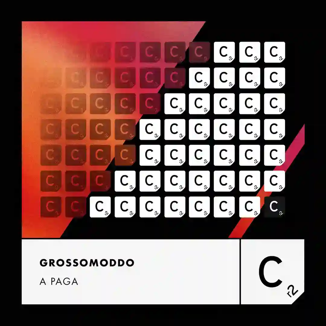 A Paga (Extended Mix) cover