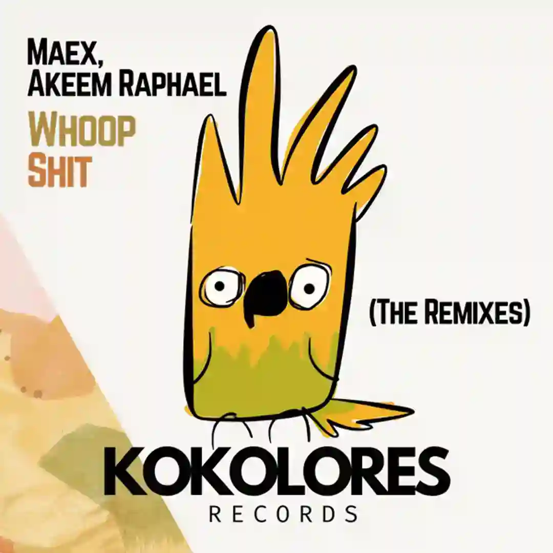 Whoop Shit (Tiger & Phoenix Remix Edit) cover