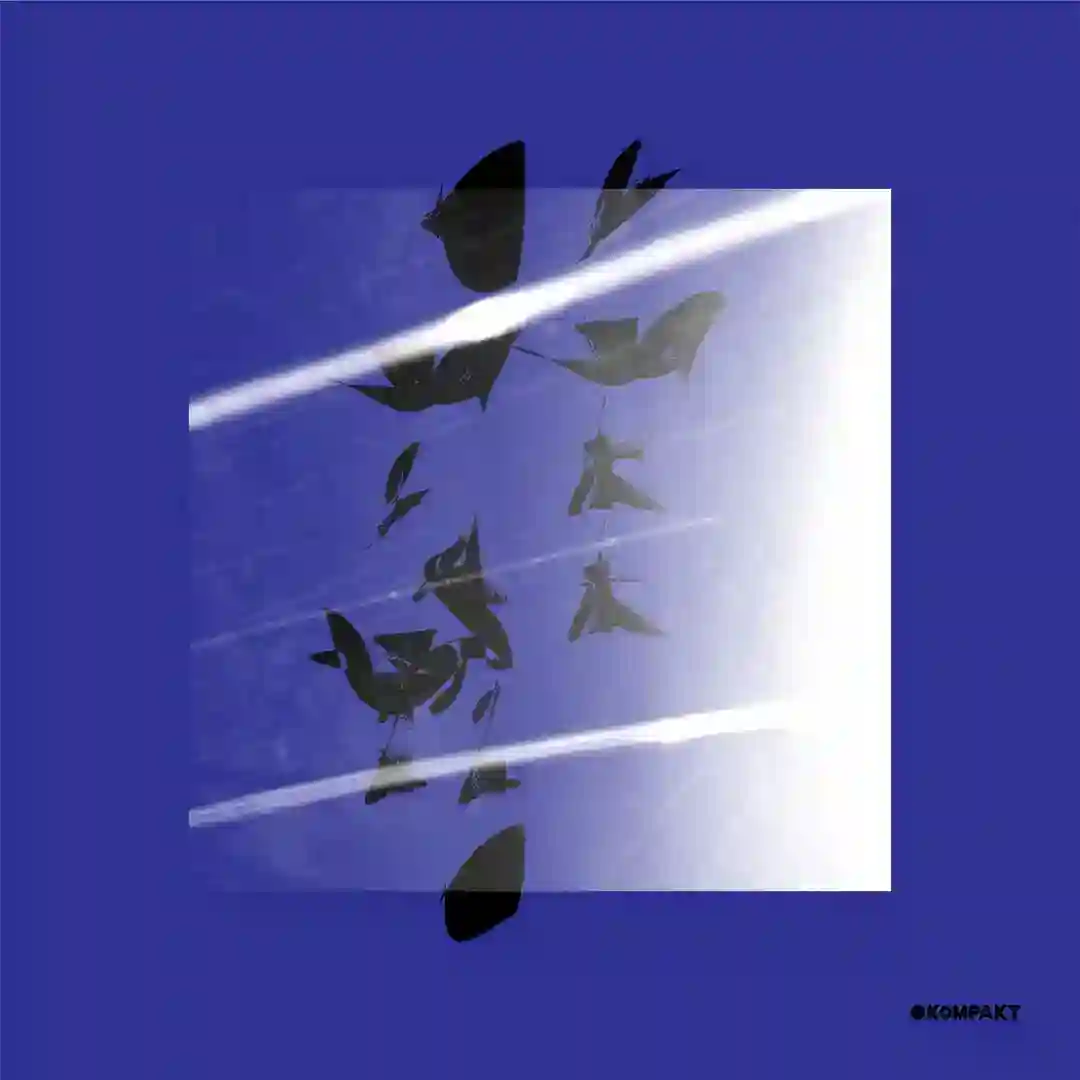 Muddy cover