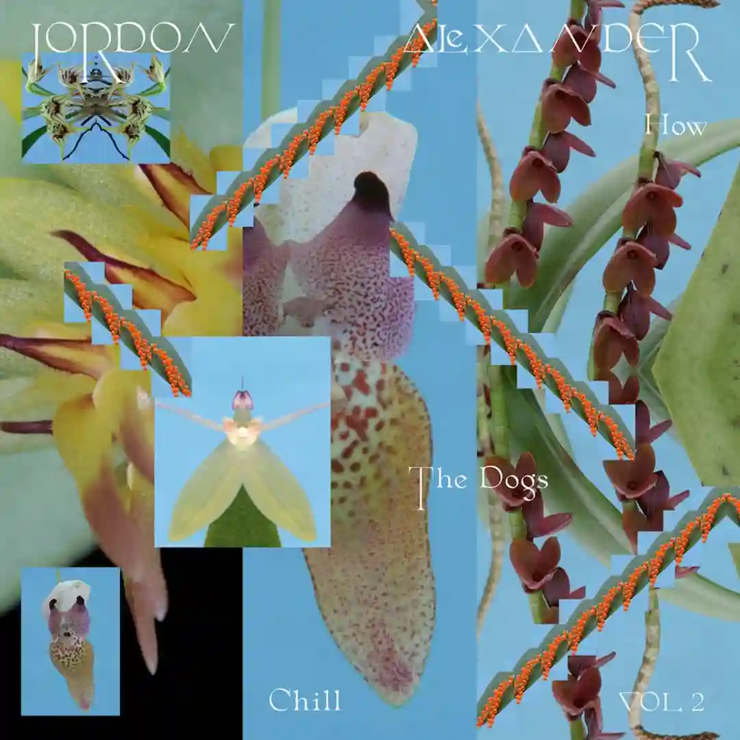 Winter cover
