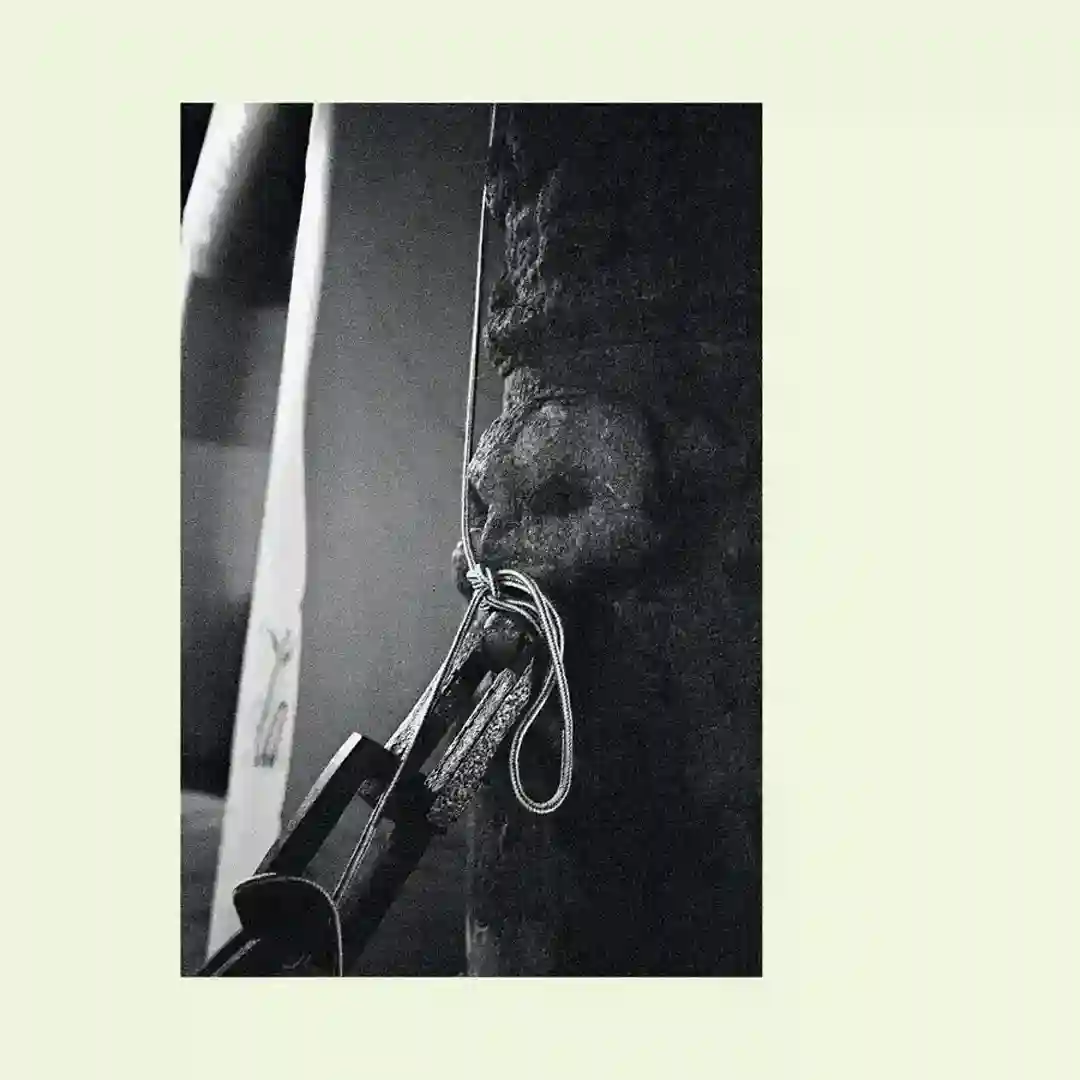 Colpo cover