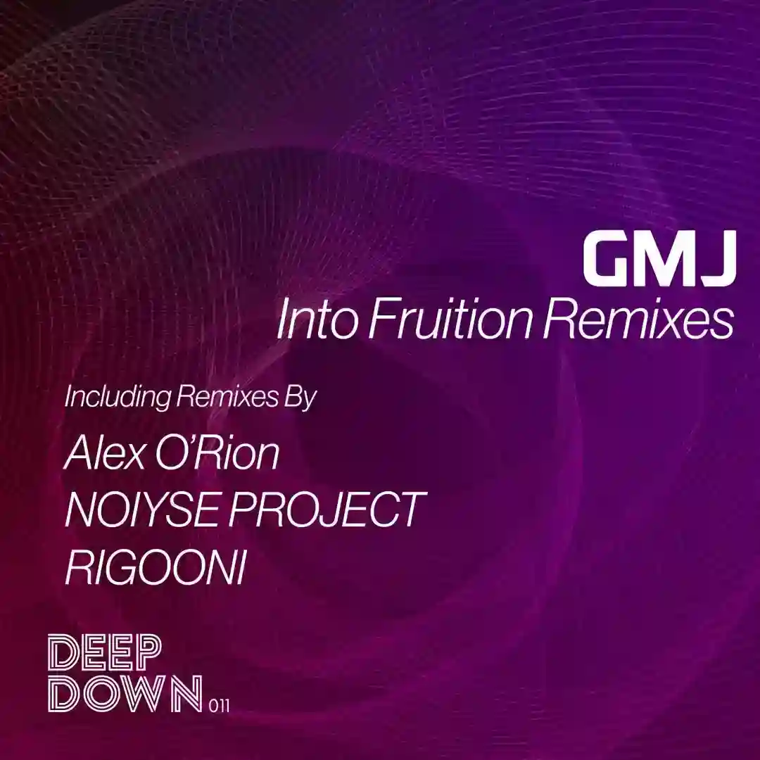 Into Fruition Remixes cover