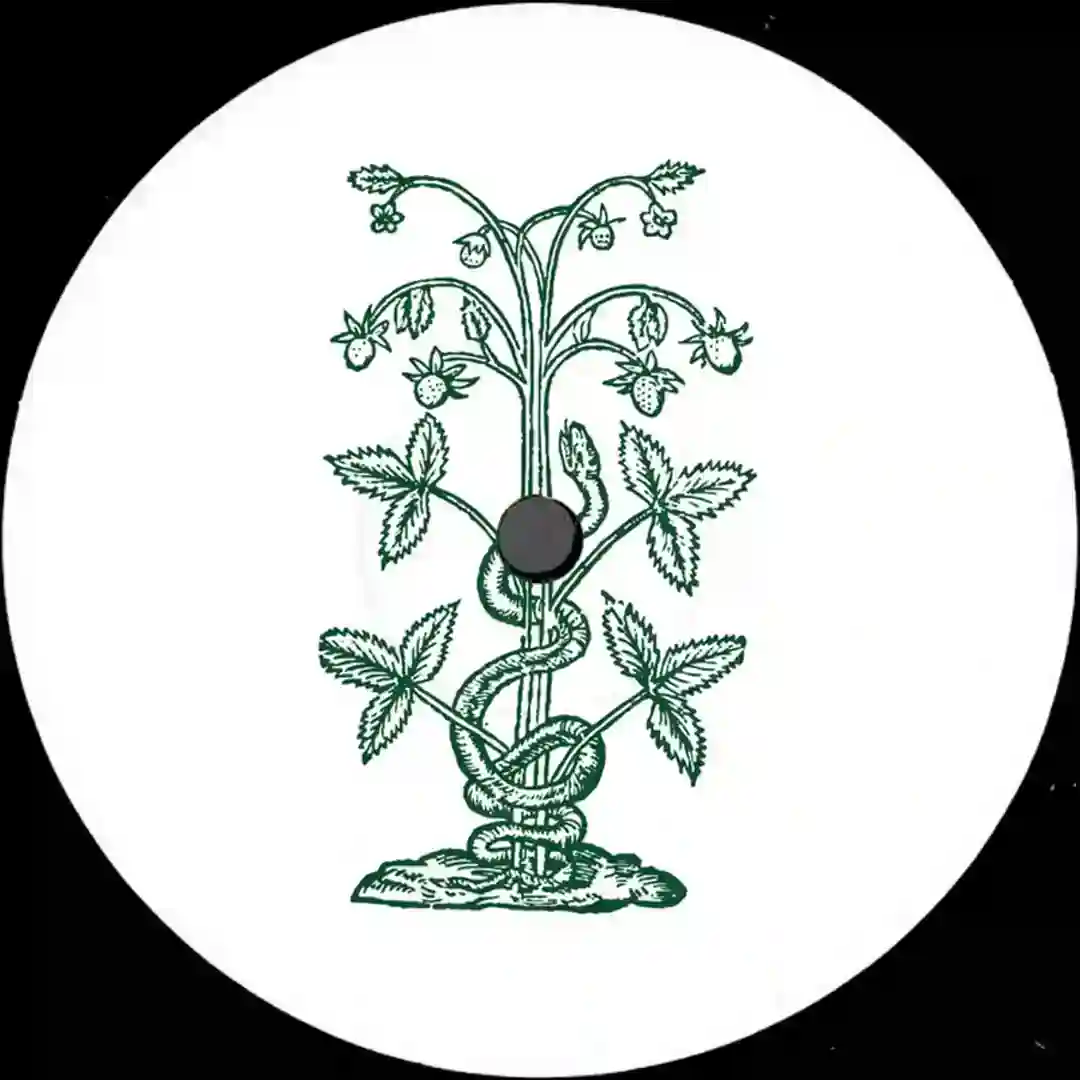 Recoil cover