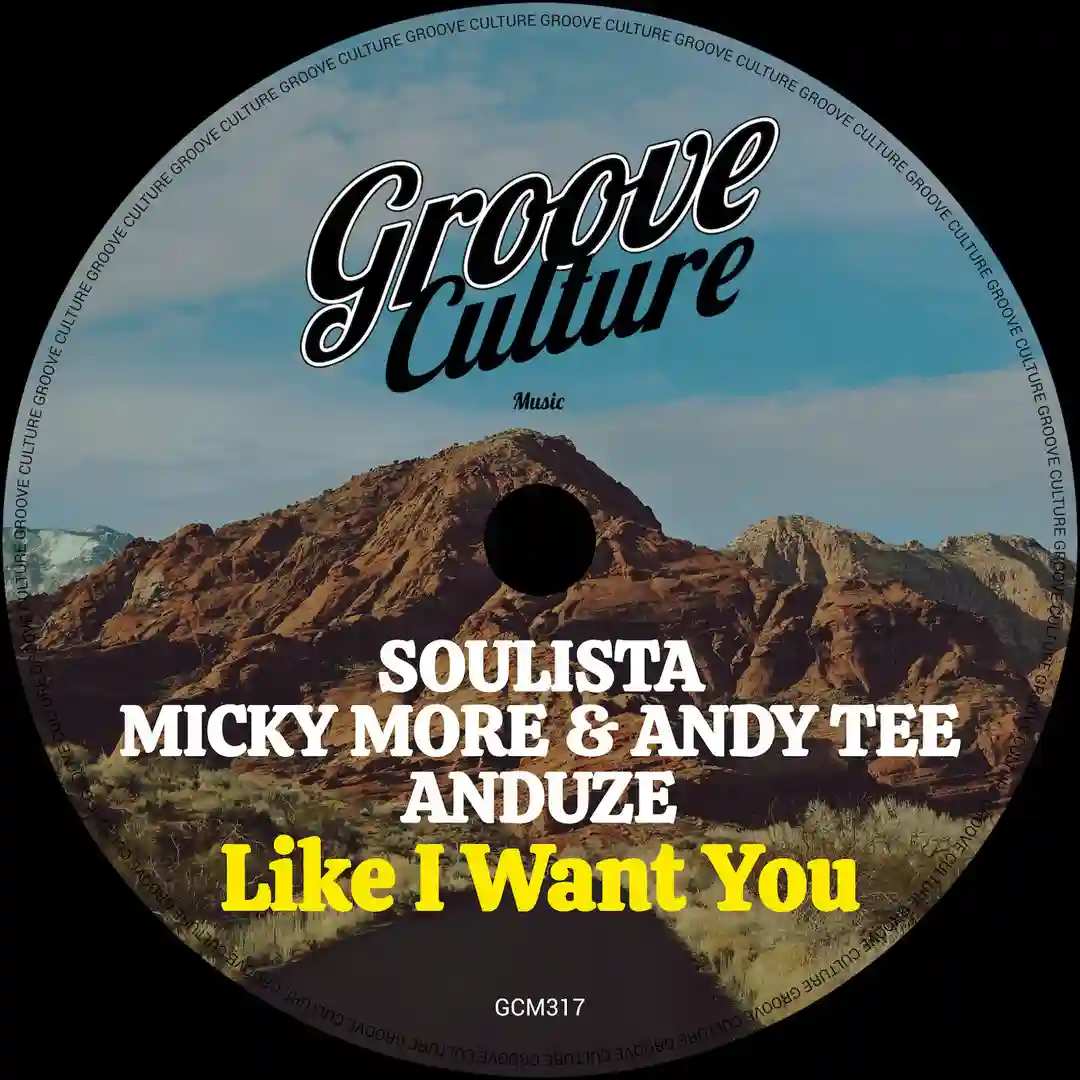 Like I Want You (Original Mix) cover