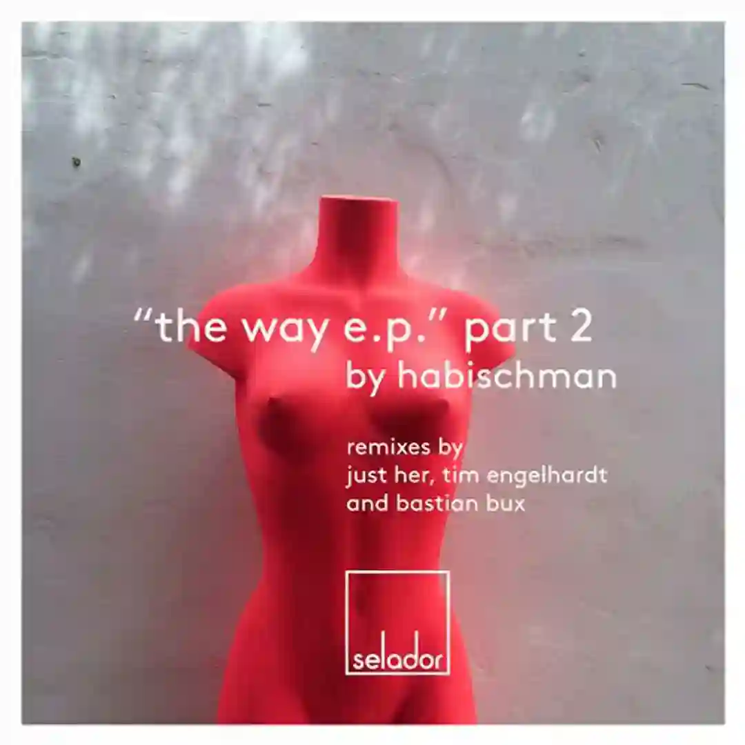 Skin / The Way (Tim Engelhardt Hybrid Remix) cover
