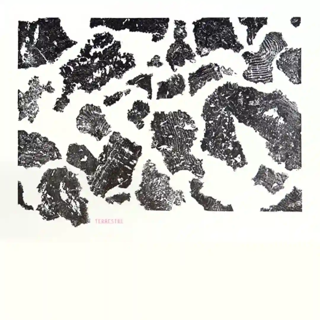 Terrestre cover
