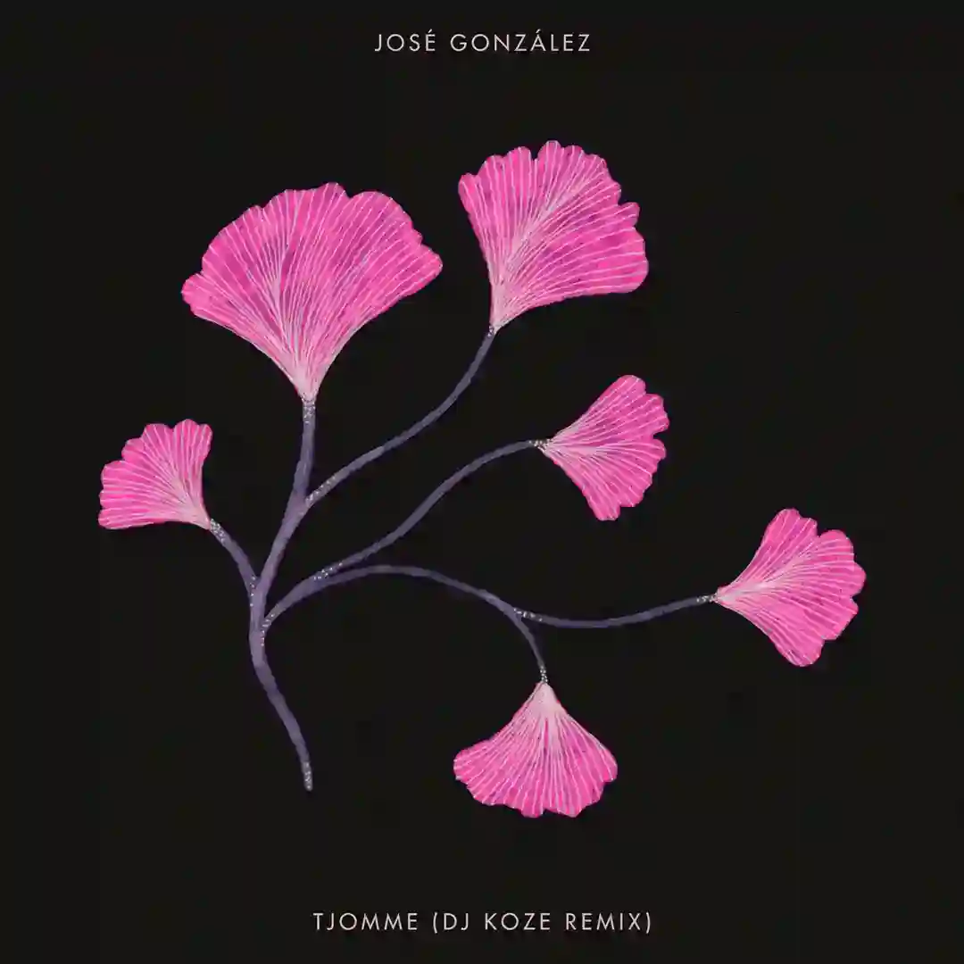 Tjomme (DJ Koze Remix) cover