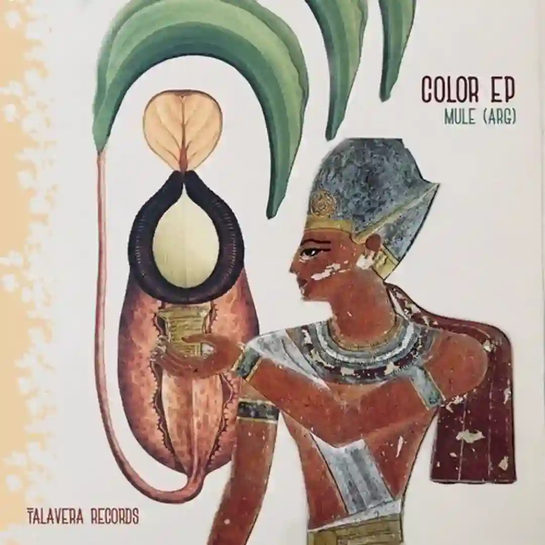 Color (Original Mix) cover