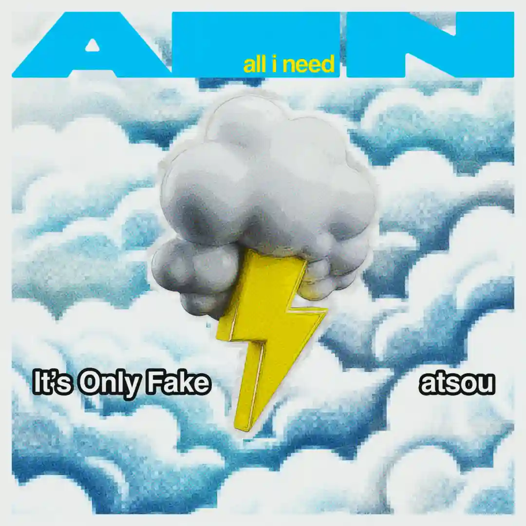 It's Only Fake cover