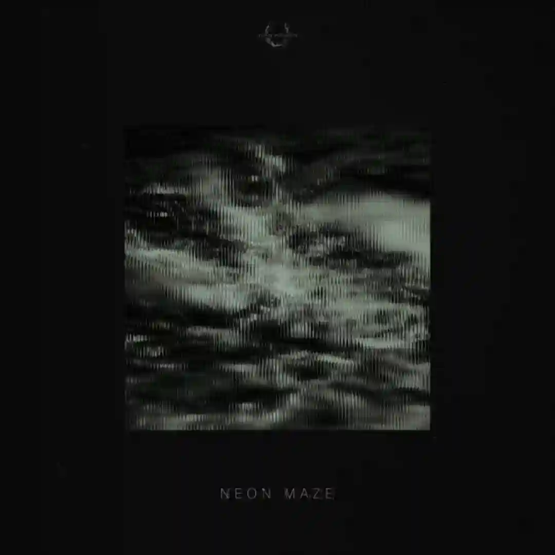 Neon Maze (Extended Mix) cover
