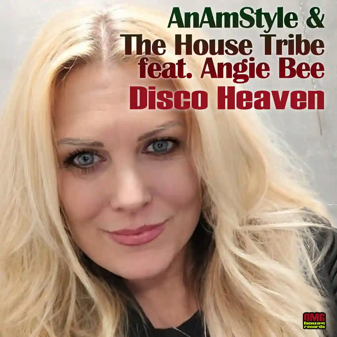 Disco Heaven cover