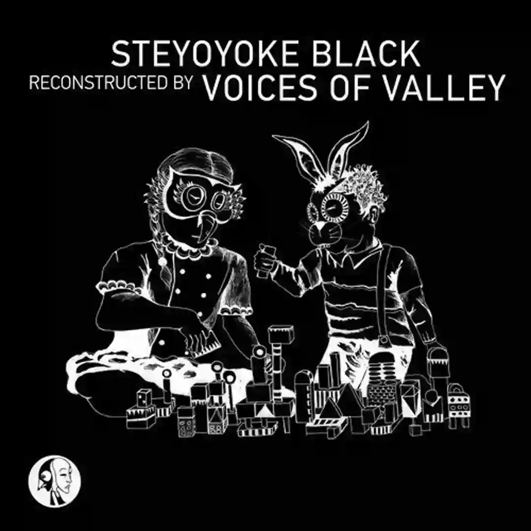 No Sense (Voices of Valley Remix) cover