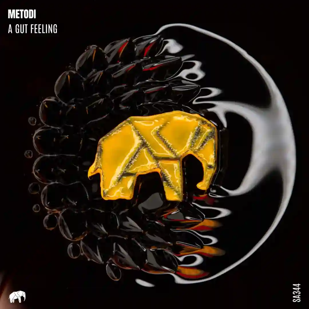 A Gut Feeling cover
