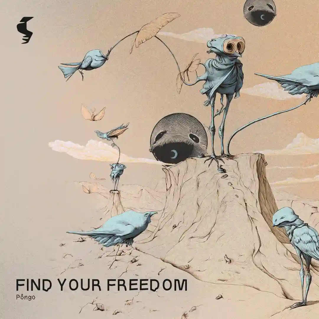 Find Your Freedom cover