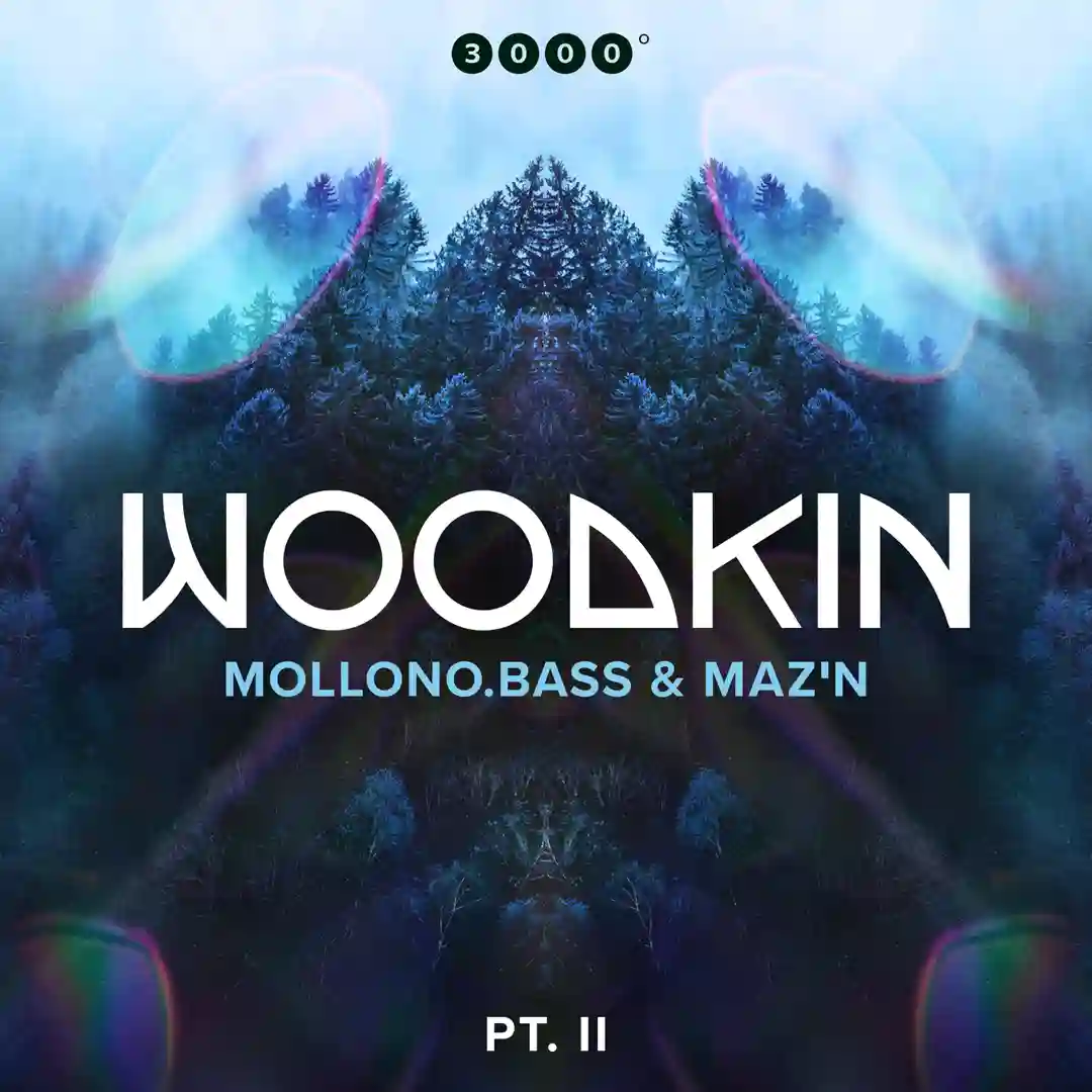 Dark Wood (Original Mix) cover