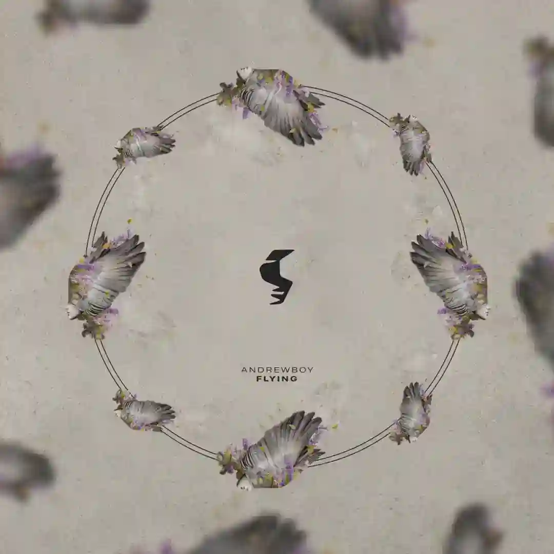 Flying (Extended Mix) cover