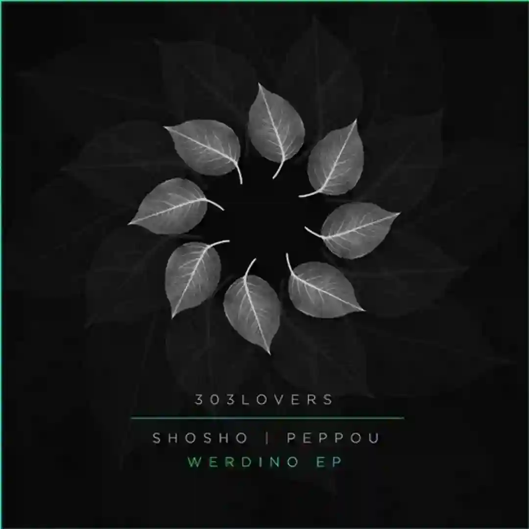 Werdino EP cover