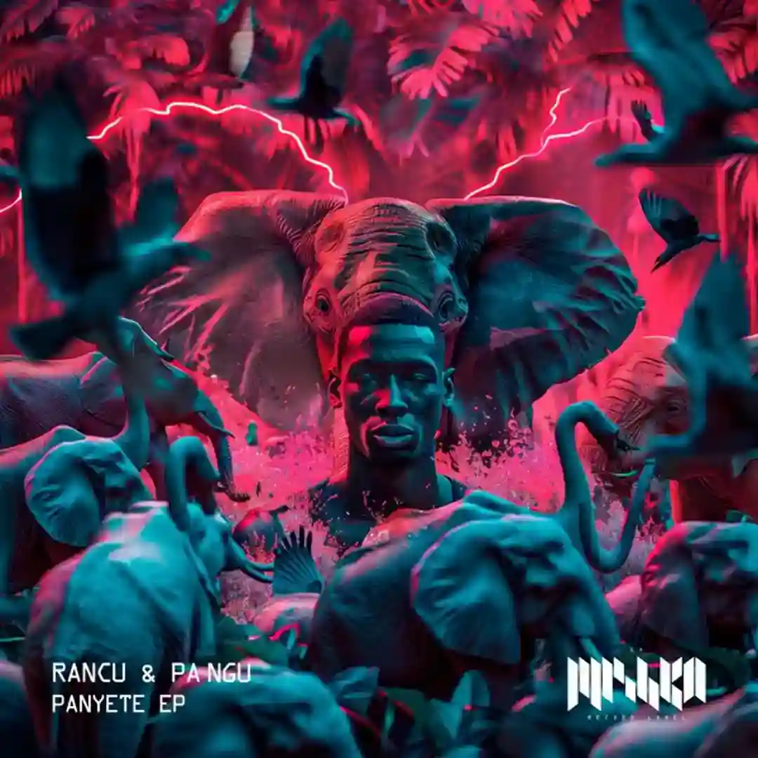 Panyete cover
