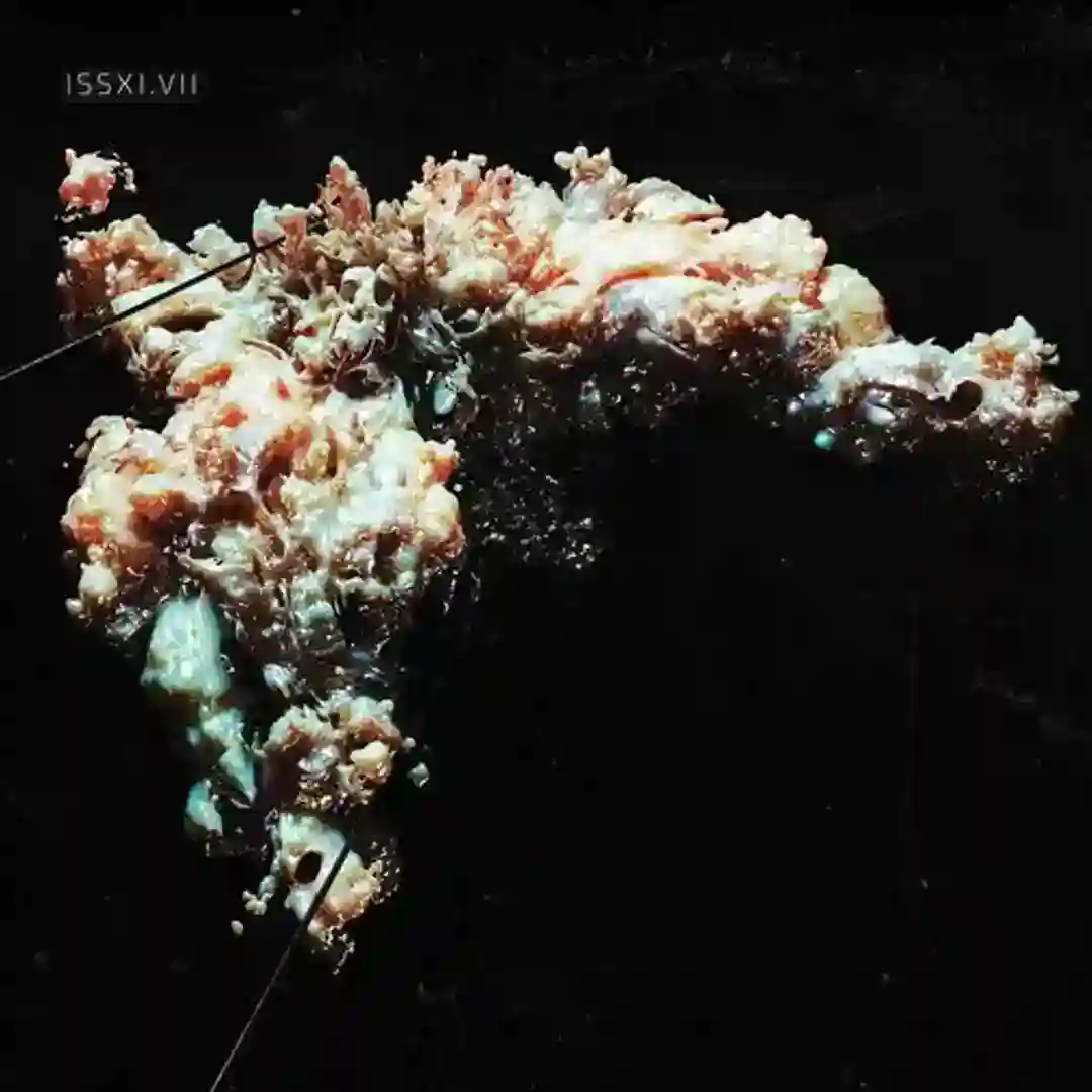 ISSXI.VII | EP7 cover