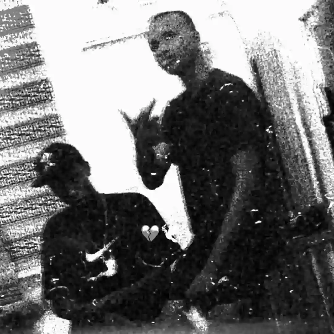 KPO (Freestyle) cover
