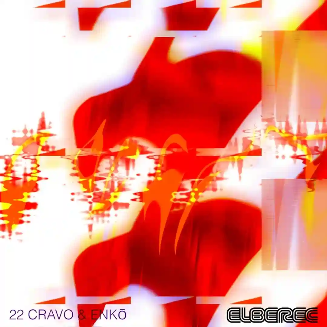 Bunk (Lasse Remix) cover