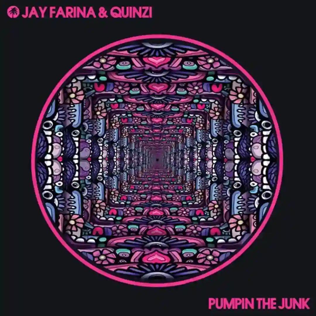 Pumpin The Junk (Original Mix) cover