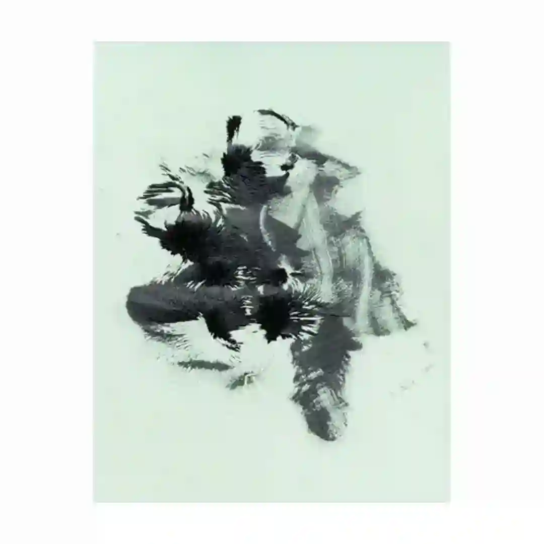 Major Signals cover