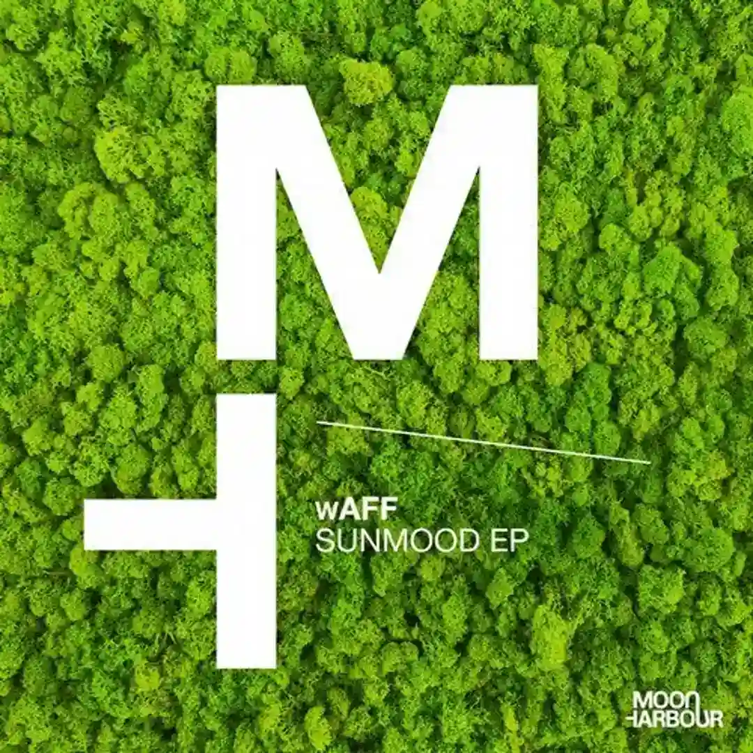 The Jakk (Original Mix) cover