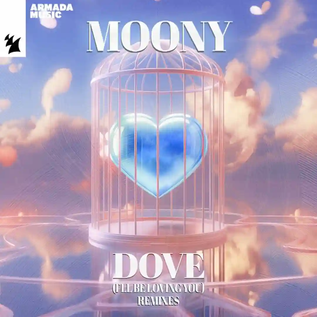 Dove (I'll Be Loving You) cover