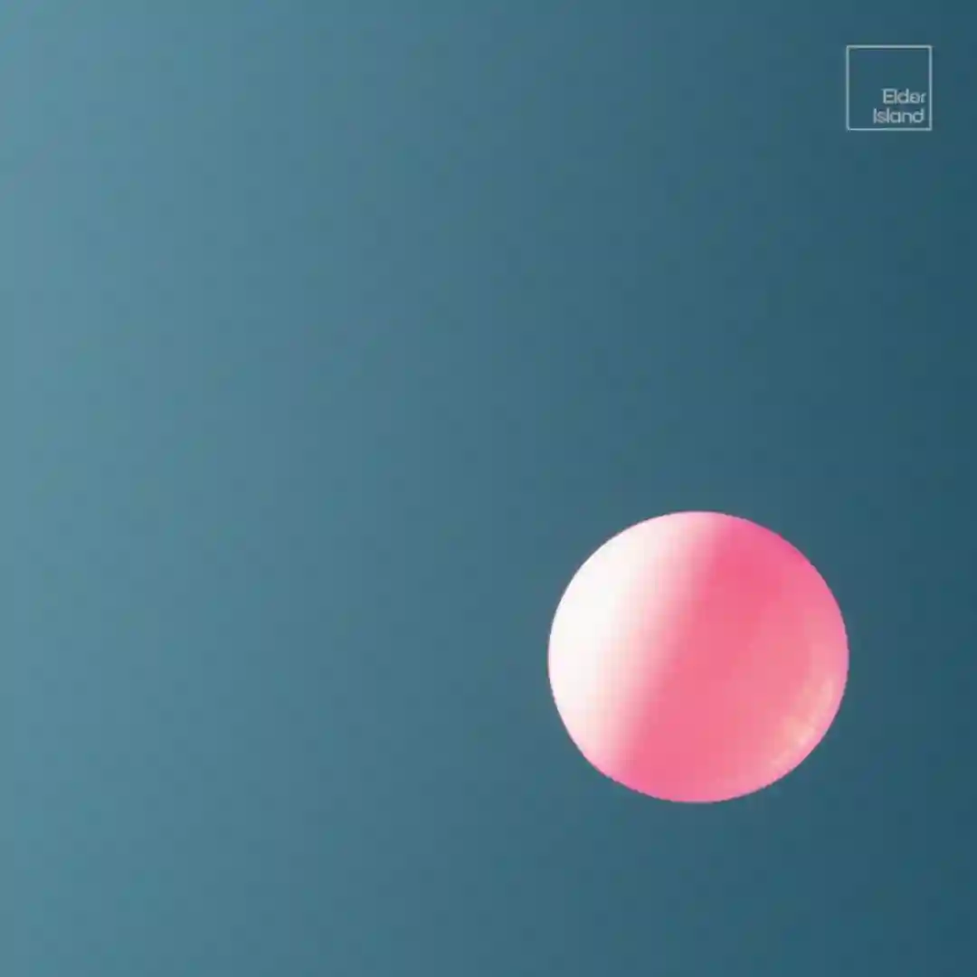 Pink Lemon (Dam Swindle Remix) cover