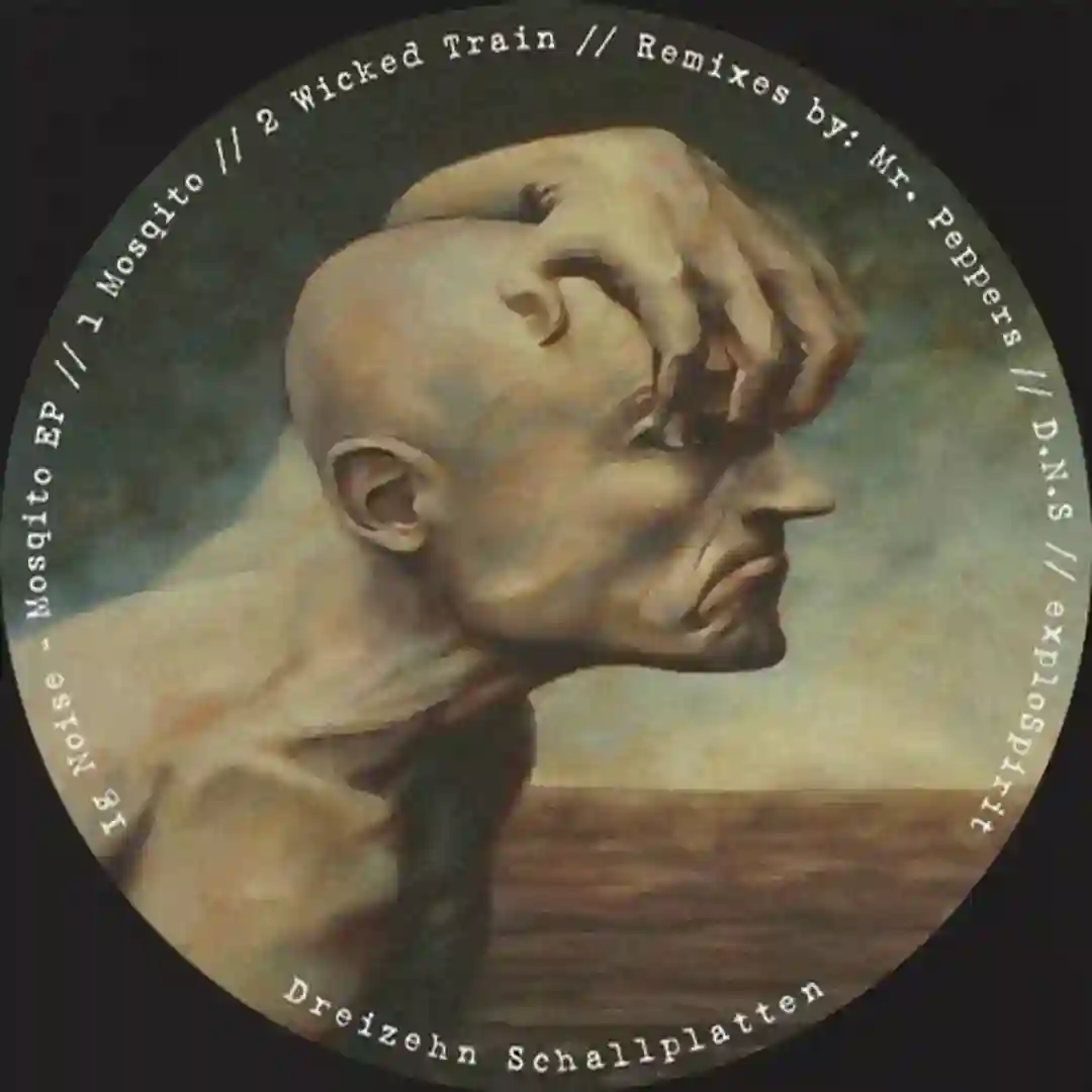 Mosqito (D.N.S Remix) cover