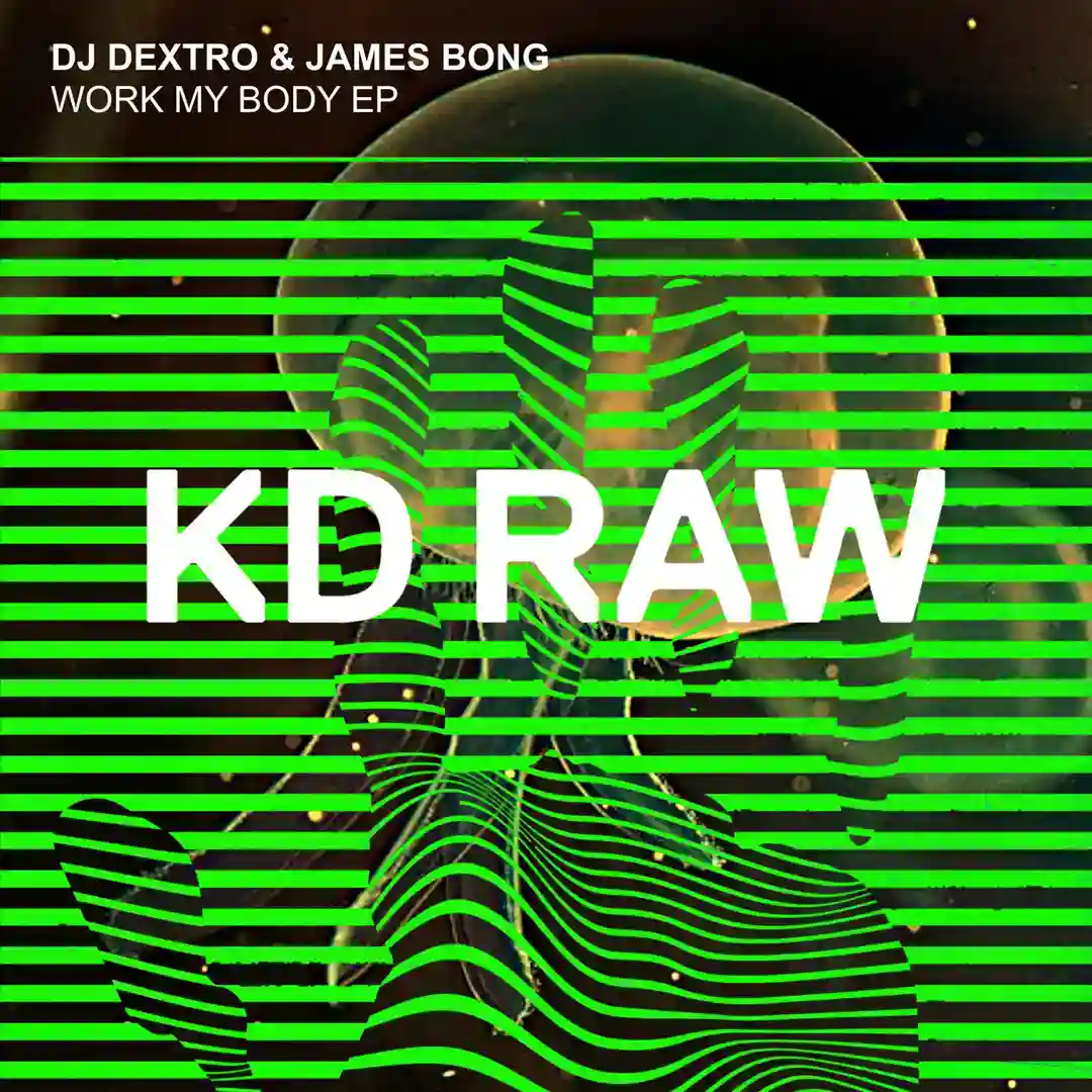 Work My Body (Original Mix) cover