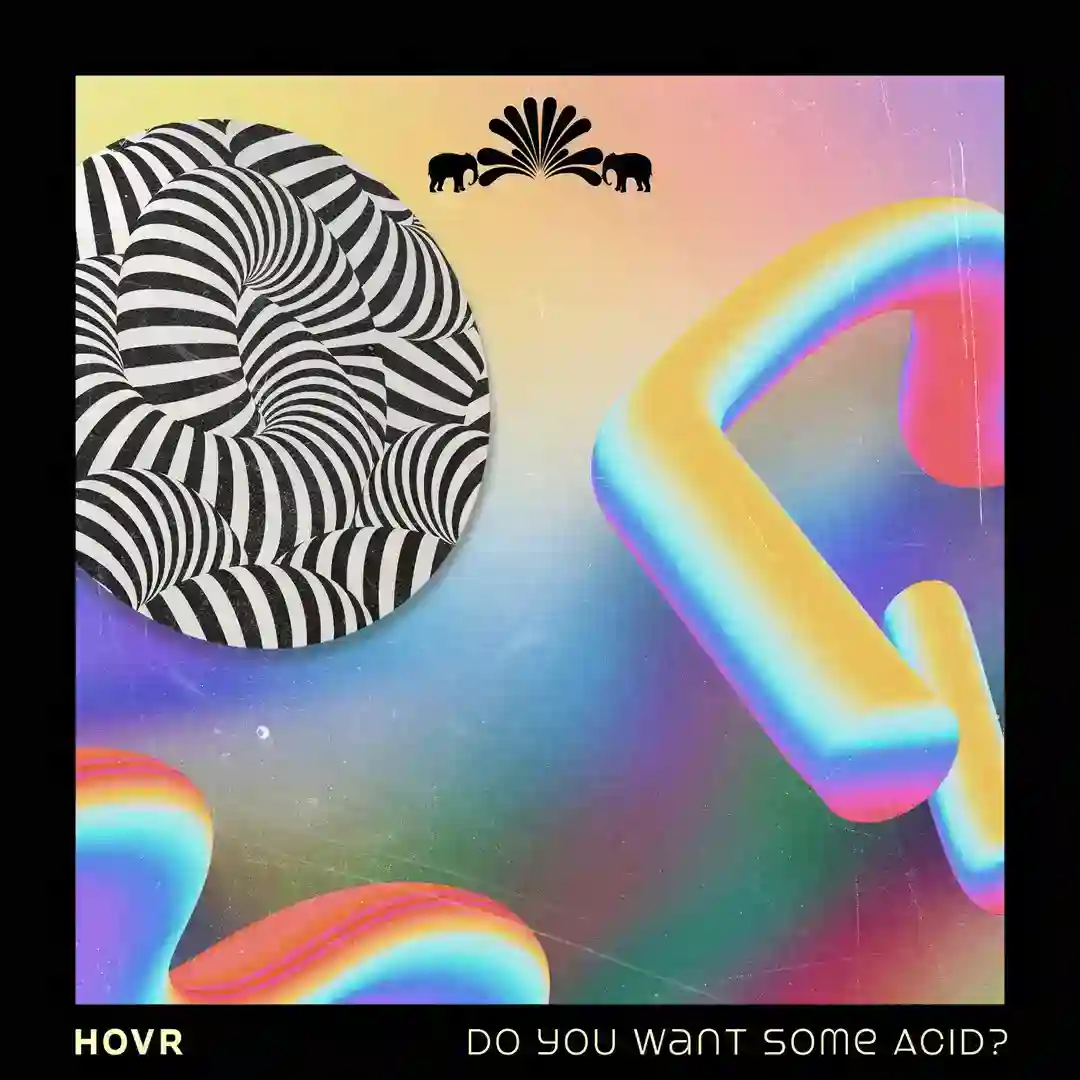 Do You Want Some Acid? (Green Lake Project Remix) cover