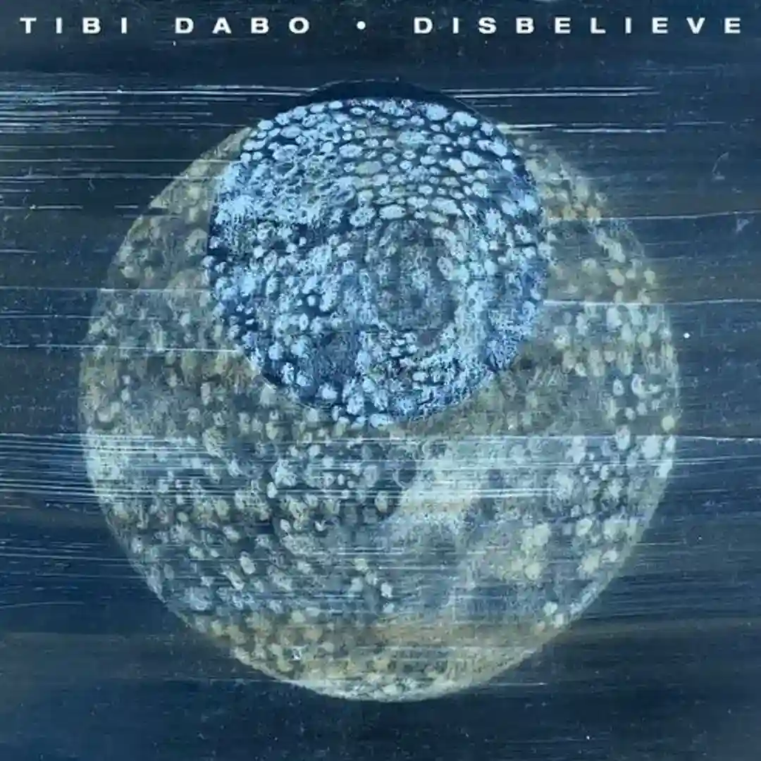 Disbelieve cover