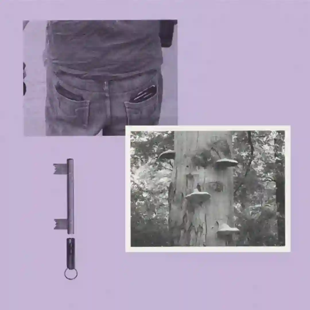 Endori (Dorisburg Remix) cover