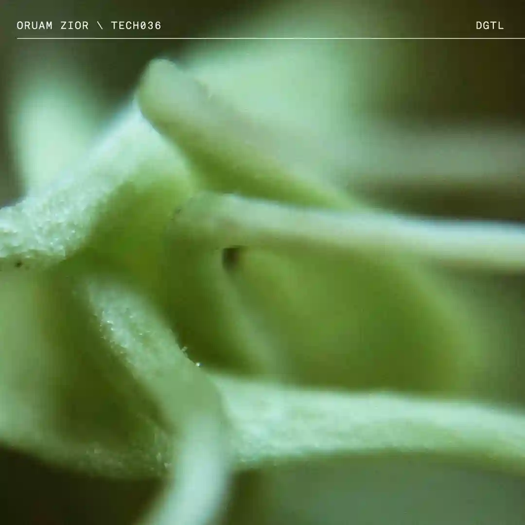 Blue Note (Original Mix) cover