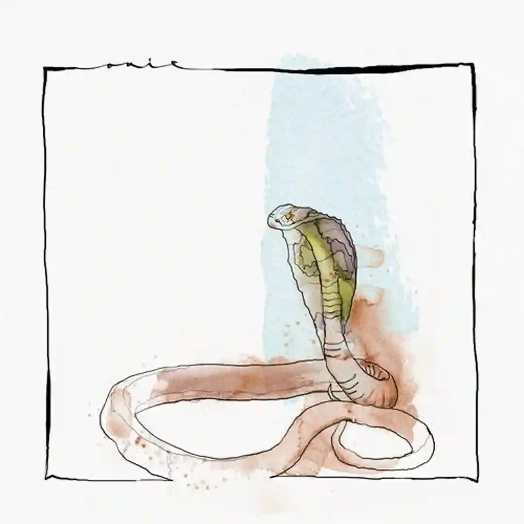 Raga (Original Mix) cover