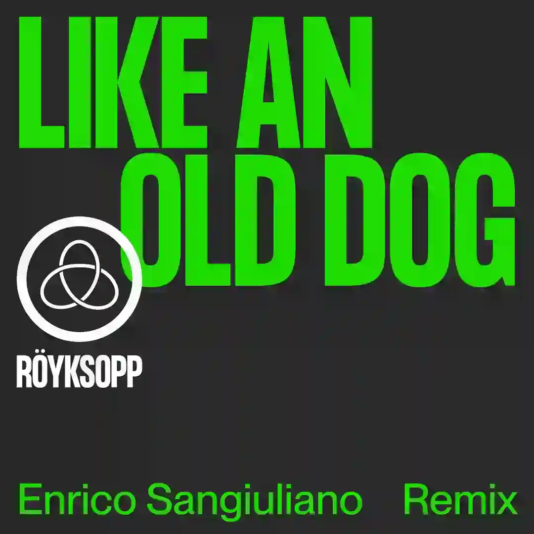 Like An Old Dog (Enrico Sangiuliano Remix) cover