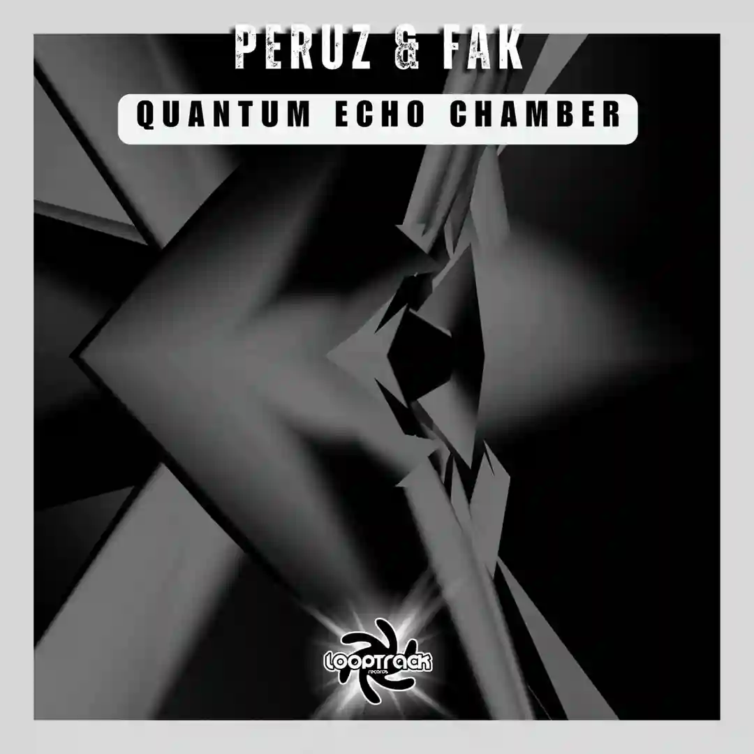 Quantum Echo Chamber (Original Mix) cover