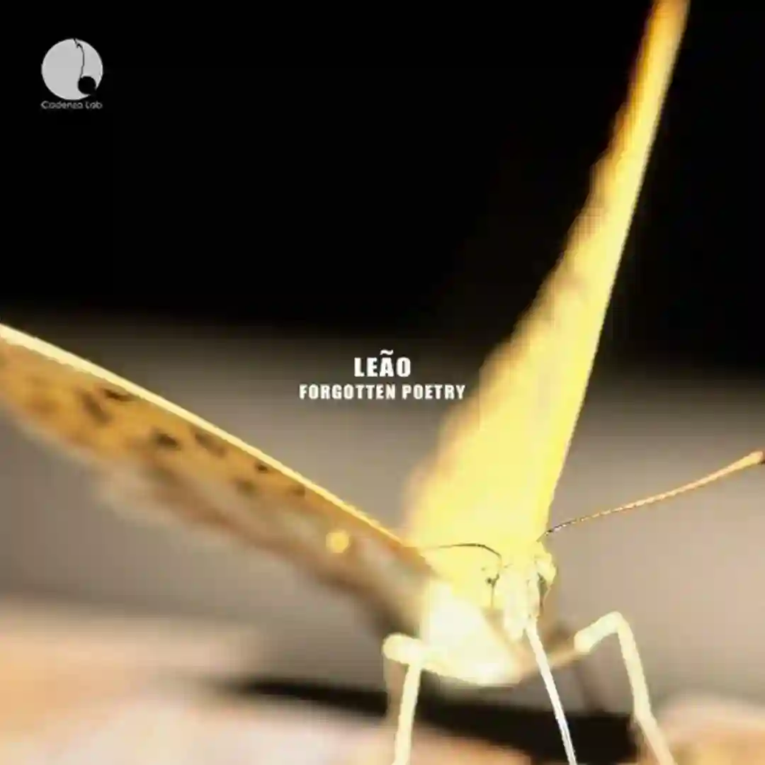 Noiserimba (Original Mix) cover