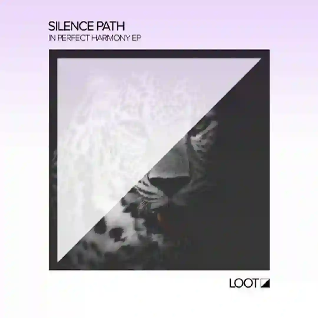 Illusion (Original Mix) cover