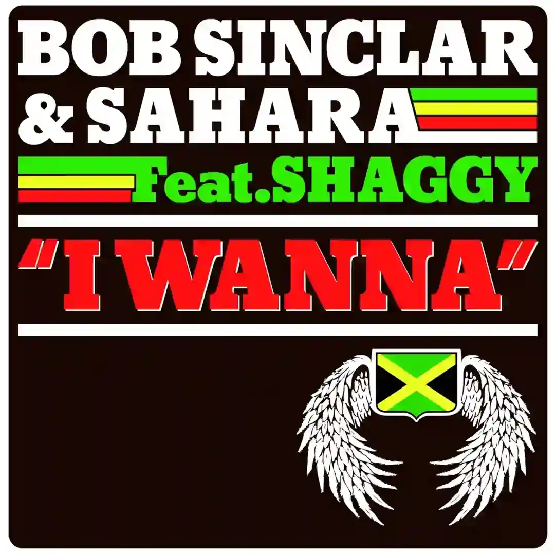 I Wanna (feat. Shaggy) (Michael Calfan Remix) cover