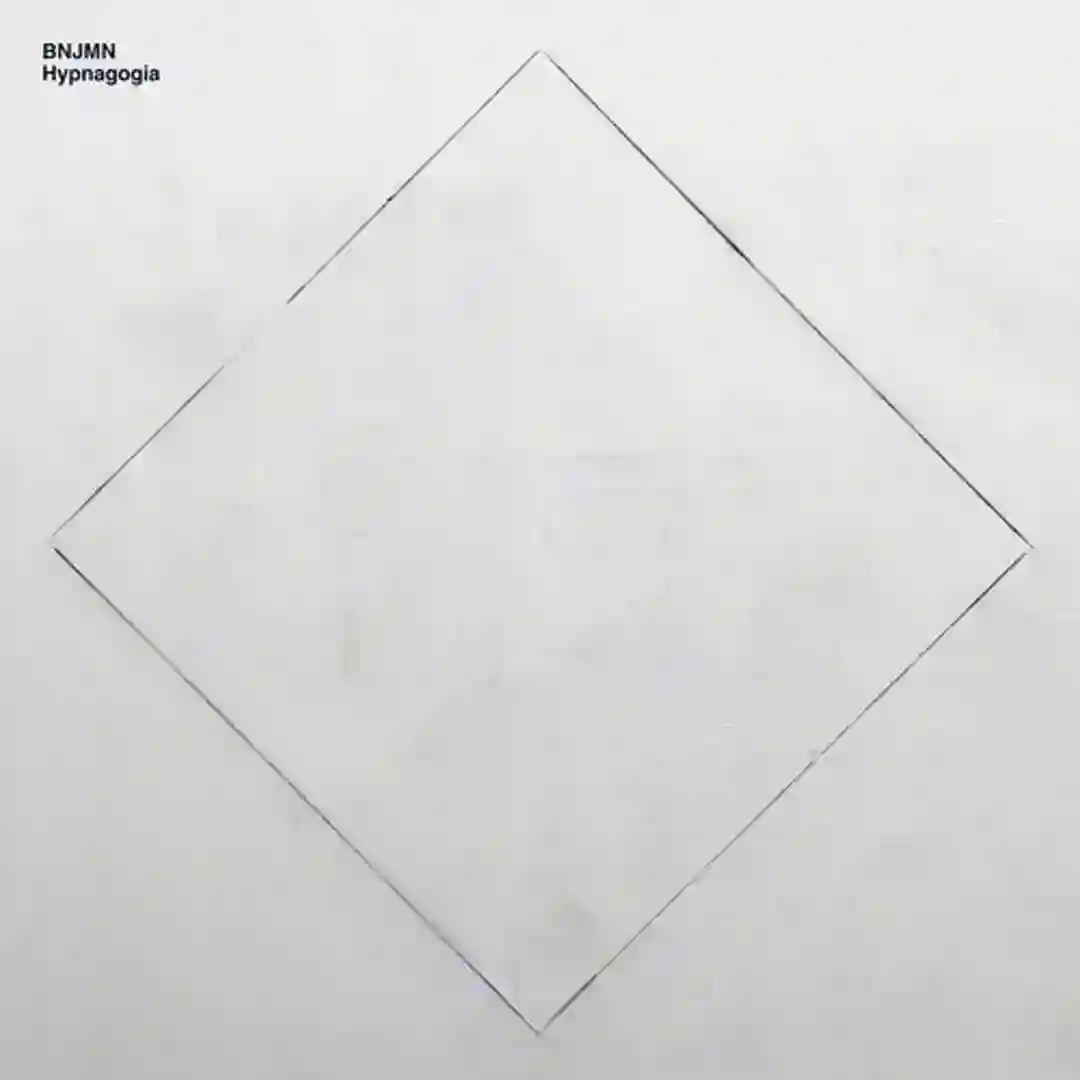 Moth Lines cover